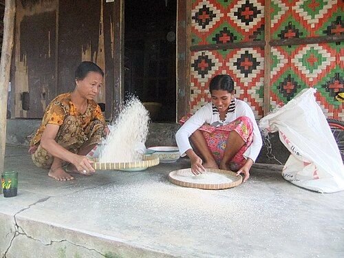 Two village women winnowing rice